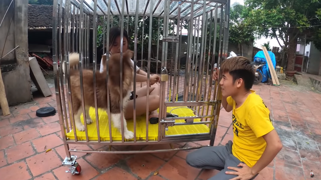 Nhốt em gái vào chuồng chó, con trai bà Tân Vlog lại gây nên những tranh cãi không hồi kết - Ảnh 1.