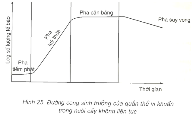 Tại sao Thanos trong Infinity War và End Game không búng tay tăng gấp đôi tài nguyên cho vũ trụ? - Ảnh 6.