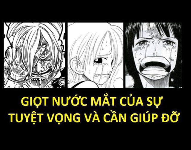 One Piece: Xúc động khi nhìn lại những lần rơi lệ của băng Mũ Rơm, có những khoảnh khắc khiến fan không cầm được nước mắt - Ảnh 1.