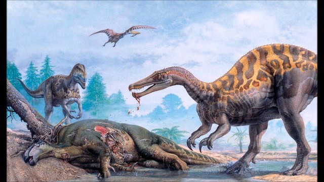 Top 5 điều thú vị xoay quanh Spinosaurus - kẻ săn mồi đáng sợ ngang cơ cả T-REX - Ảnh 7.