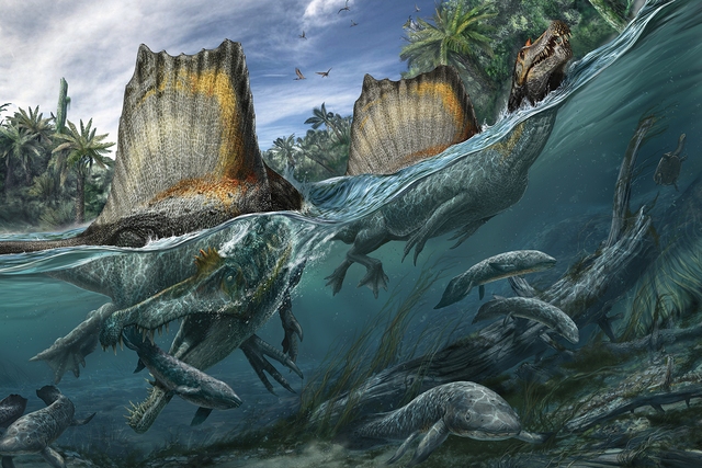 Top 5 điều thú vị xoay quanh Spinosaurus - kẻ săn mồi đáng sợ ngang cơ cả T-REX - Ảnh 3.
