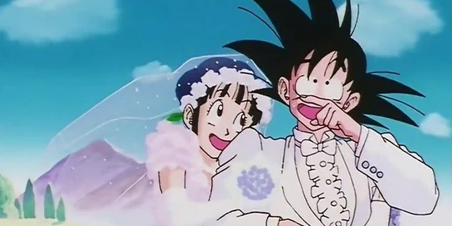 Dragon Ball: Ngắm ChiChi và Bulma lại thấy Vegeta tuy thua Goku về sức mạnh nhưng lấy được vợ ngon hơn - Ảnh 8.