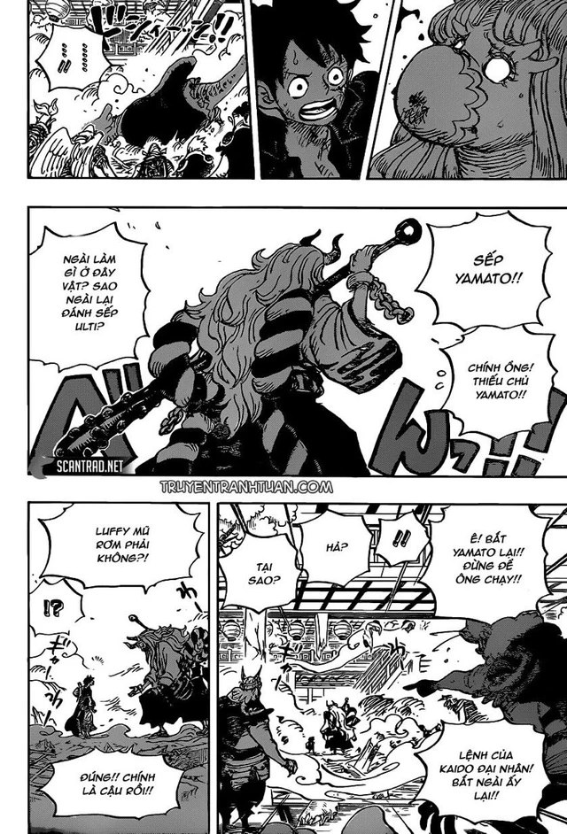One Piece chapter 984: Chị em Ulti và Page One nhanh chóng bình phục, sức mạnh trái ác quỷ Zoan cổ đại khủng cỡ nào? - Ảnh 1.