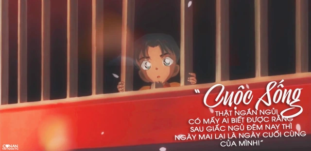 Thám tử lừng danh Conan: 40 câu nói thấm thía của các nhân vật về cuộc sống và tình yêu (P.1) - Ảnh 4.