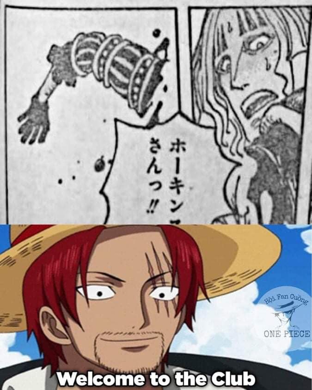 Các fan chào mừng thành viên mới gia nhập hội khuyết tật One Piece, tất cả đều là tại Shanks Tóc Đỏ - Ảnh 2.