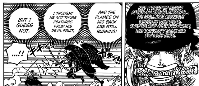 One Piece 1032: Hé lộ thứ làm nên sức mạnh khủng và giúp King vượt xa so với người dùng hệ Zoan Khủng Long cổ đại? - Ảnh 3.