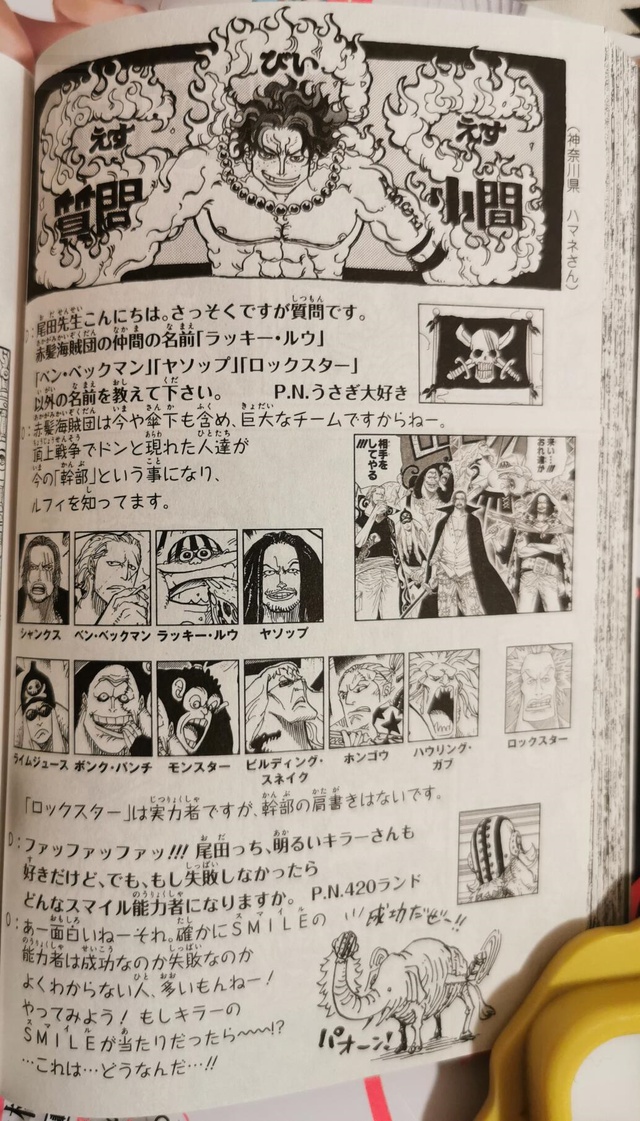One Piece: Hé lộ sự thật bất ngờ về băng hải tặc Tóc Đỏ, đông như quân nguyên và được phân cấp rõ ràng - Ảnh 2.