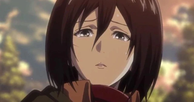 10 sự thật về Mikasa Ackerman, nhân vật nữ mạnh mẽ nhất trong Attack on Titan - Ảnh 10.