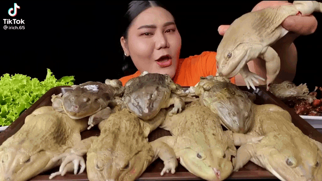 Làm clip ăn Mukbang trên sóng, nữ streamer khiến người xem khiếp sợ, chuyển kênh khi ăn ếch luộc nguyên con - Ảnh 1.