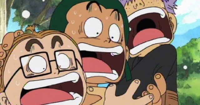 One Piece: 6 thành viên của băng Mũ Rơm đã từng gia nhập băng hải tặc khác - Ảnh 1.