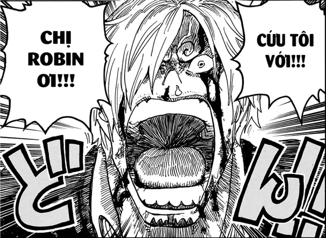 Soi những chi tiết thú vị trong One Piece chap 1005: Sanji “phế” hay chỉ là ý đồ bí mật của Oda? (P.1) - Ảnh 4.