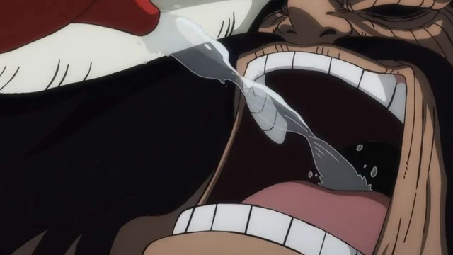 One Piece: 14 người ăn trái ác quỷ có khả năng phòng thủ tốt nhất hiện nay (P.2) - Ảnh 7.