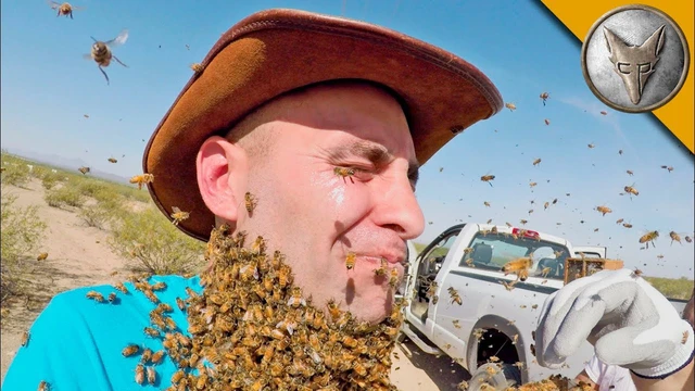Làm thử thách để 3.000 con ong quây kín mặt, rồi thử nọc độc của ong bắp cày, nam YouTuber nhận cái kết đắng ngắt - Ảnh 2.