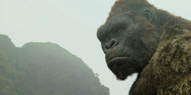 Godzilla Vs. Kong: Những điểm mạnh và yếu chưa từng được tiết lộ của Titan King Kong - Ảnh 4.