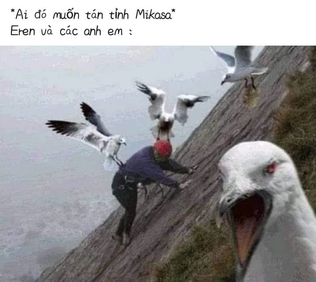 Các fan Attack On Titan cho rằng Mikasa bên cạnh con chim lớn chỉ khiến cô thêm nhớ Eren mà thôi - Ảnh 4.