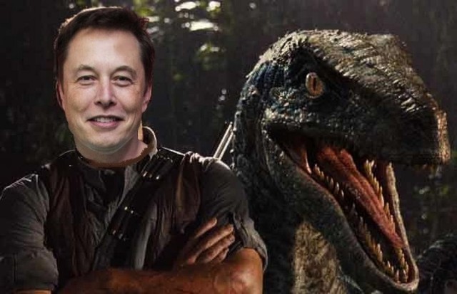 Elon Musk gây sốc, tiết lộ ý định bê nguyên Công viên Khủng Long từ phim ra đời thật - Ảnh 3.