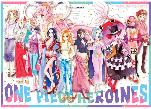 One Piece chuẩn bị ra mắt tiểu thuyết Heroines tập trung vào các nhân vật nữ, cơ hội của anh em đến rồi! - Ảnh 2.