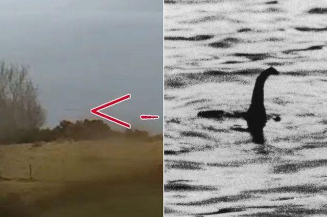 Quái vật hồ Loch Ness: Thực sự có thật hay là trò lừa bịp của loài người? - Ảnh 4.