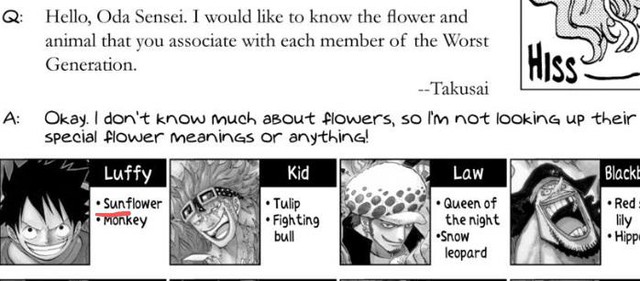 One Piece: Toàn bộ những lần xuất hiện của Thần Nika và Mặt Trời trong suốt series, đúng chỉ có thánh Oda mới thâm sâu được đến thế này - Ảnh 16.