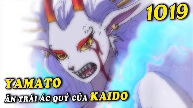 One Piece: Bộ 3 con cái của các hải tặc huyền thoại sở hữu năng lực trái ác quỷ thuộc cả ba hệ - Ảnh 4.