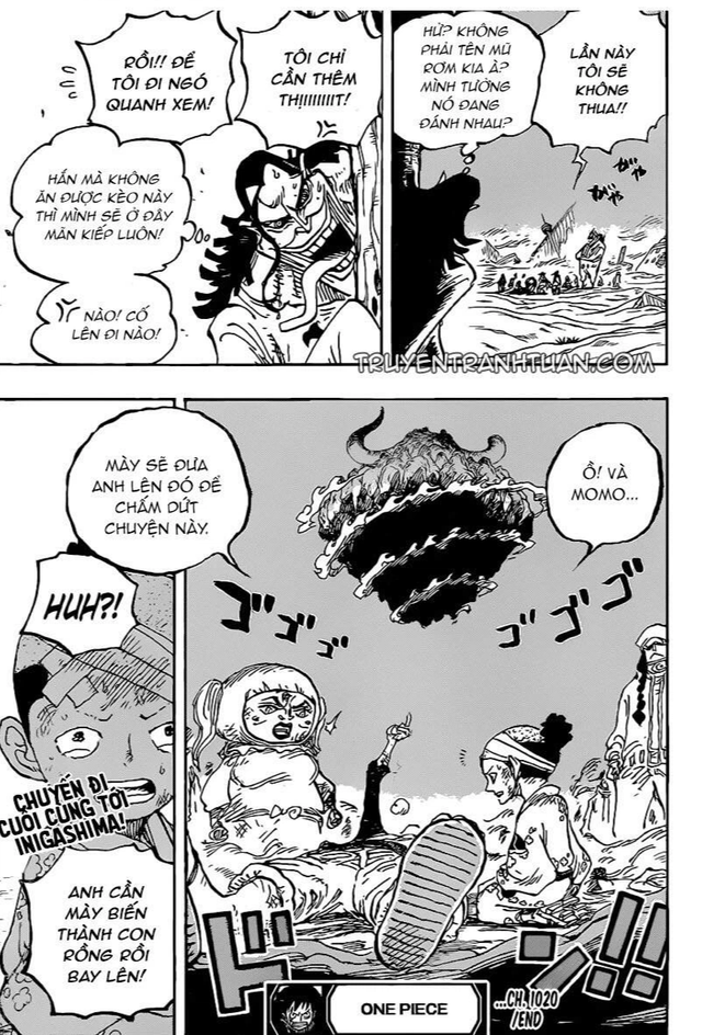 Xuất hiện trong One Piece chap 1020, nhiều độc giả cho rằng Caribou chính là “kẻ theo chân vĩ đại, chúa tể ăn hôi” - Ảnh 1.