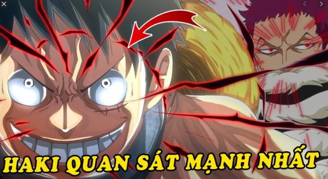 Thực hư chuyện Phượng Hoàng Marco sở hữu Haki quan sát nhìn thấy được tương lai gần trong One Piece chap 1022? - Ảnh 3.