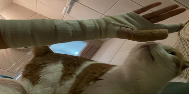Trêu đùa mèo cưng quá đà, nữ streamer bị boss tấn công tới mức phải nhập viện - Ảnh 4.