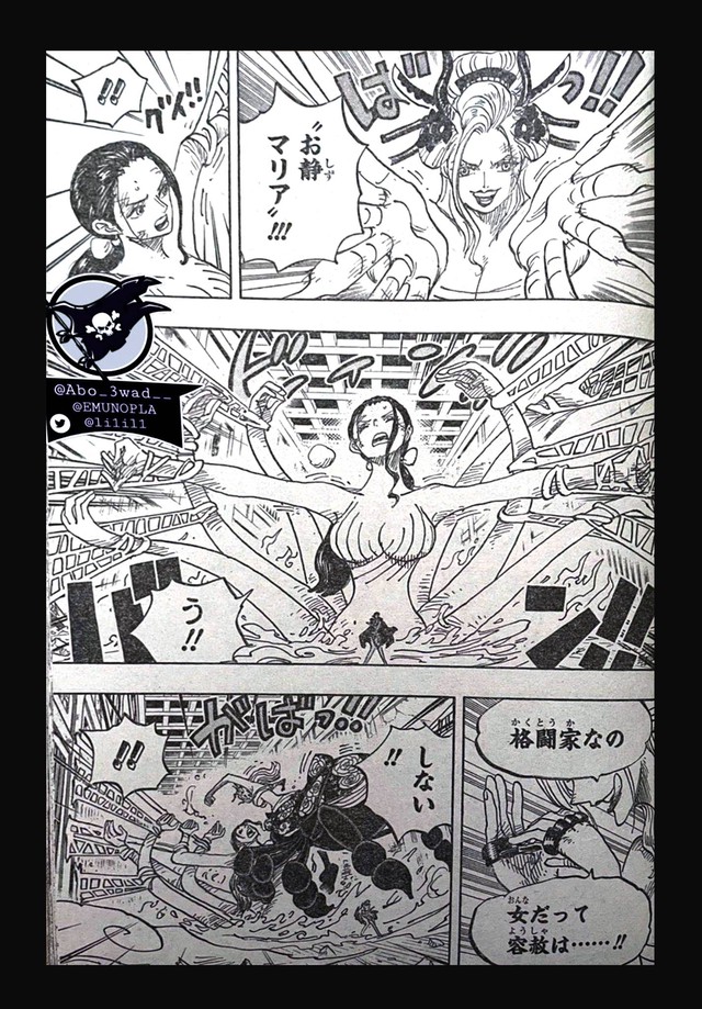 One Piece chap 1021: Vì sao mà trận chiến giữa Robin và Black Maria rất được độc giả chờ đợi? - Ảnh 3.