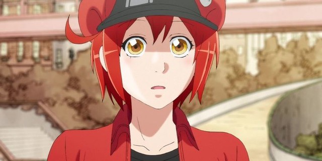 Loạt anime không giới hạn độ tuổi mà cả người lớn và trẻ em đều yêu thích - Ảnh 2.