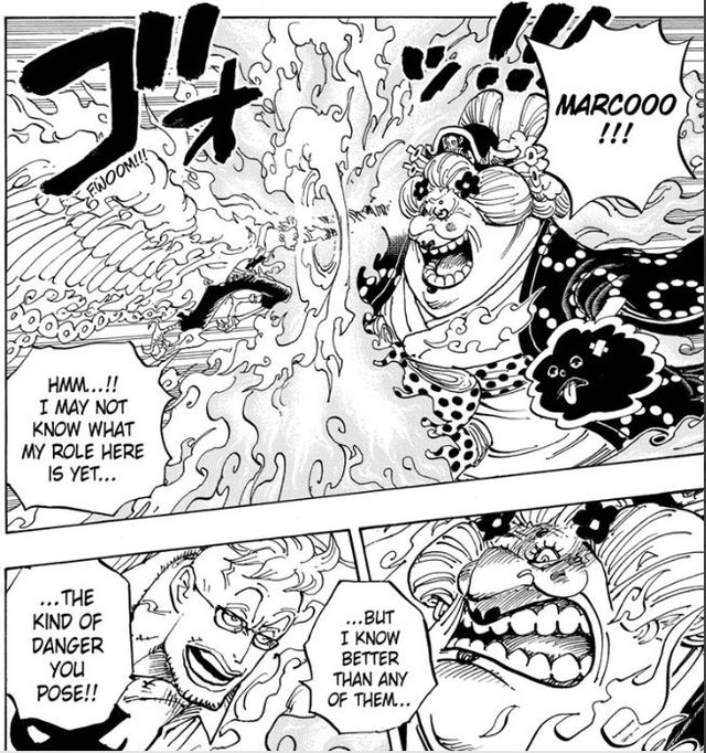 Giả thuyết One Piece: Hiyori chính là “chim trĩ” trong cậu bé quả đào thay vì Marco như chúng ta vẫn nghĩ? (P.1) - Ảnh 3.