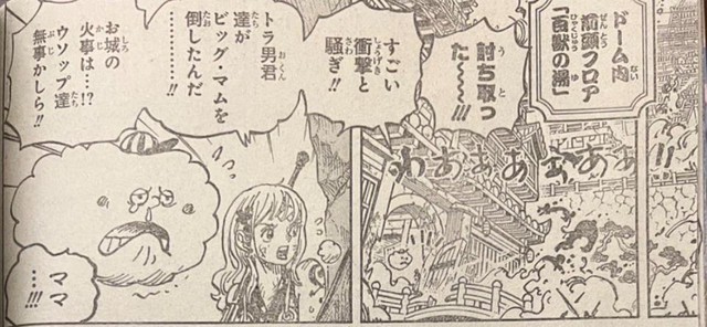 Spoil đầy đủ One Piece chap 1041: Hyori “hành quyết” Orochi, thời trẻ của Big Mom xuất hiện - Ảnh 10.