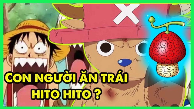 One Piece: Tổng hợp thông tin liên quan tới trái ác quỷ “Thần mặt trời Nika” mà Oda đã tiết lộ - Ảnh 5.