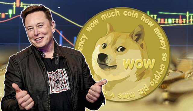 Quyết phù phép, sống mái với Dogecoin, Elon Musk đề xuất dùng đồng token này để trả dịch vụ Twitter, giá lại lên phi mã - Ảnh 3.