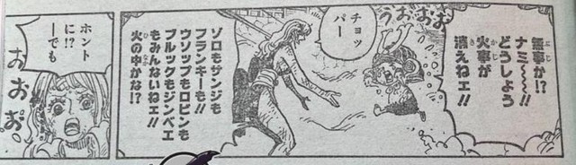 Spoil đầy đủ One Piece chap 1046: Sanji dẫn theo dàn harem chạy trốn, Onigashima sắp rơi xuống - Ảnh 4.