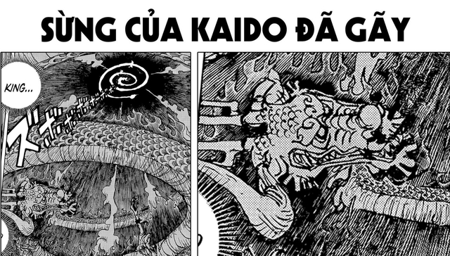 One Piece: Kaido bị gãy sừng, nhiều fan hài hước đùa rằng “từ nay nên gọi Bách Thú là băng tàn tật” - Ảnh 1.